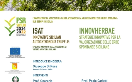 MERCOLEDÌ 30 OTTOBRE 2024, ORE 11:30 CAMERA DEI DEPUTATI - SALA CONFERENZE STAMPA - L’INNOVAZIONE IN AGRICOLTURA PASSA ATTRAVERSO LA VALORIZZAZIONE DEI GRUPPI OPERATIVI: DUE ESEMPI IN SICILIA