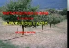 LA PRODUZIONE E ALTRO - TARTUFICOLTURA DI BASE