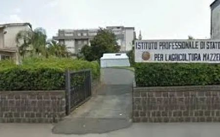 Giornata di esercitazione Controllo Microscopico e tecniche vivaistiche per la produzione di piante tartuficole - Via Principe di Piemonte n 92, Giarre, CT ORE 8.30