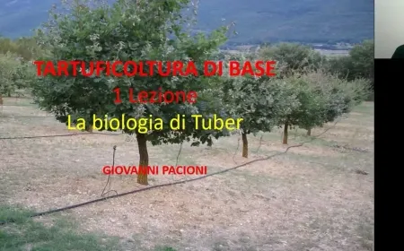 LA BIOLOGIA DI TUBER - TARTUFICOLTURA DI BASE