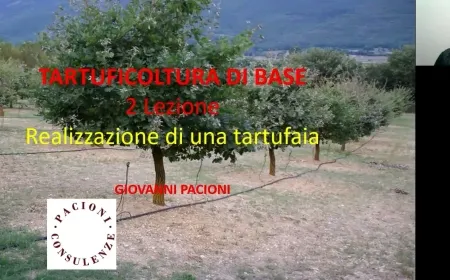 REALIZZAZIONE DI UNA TARTUFAIA - TARTUFICOLTURA DI BASE