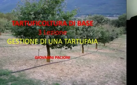 GESTIONE DI UNA TARTUFAIA - TARTUFICOLTURA DI BASE