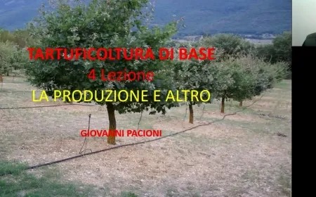LA PRODUZIONE E ALTRO - TARTUFICOLTURA DI BASE