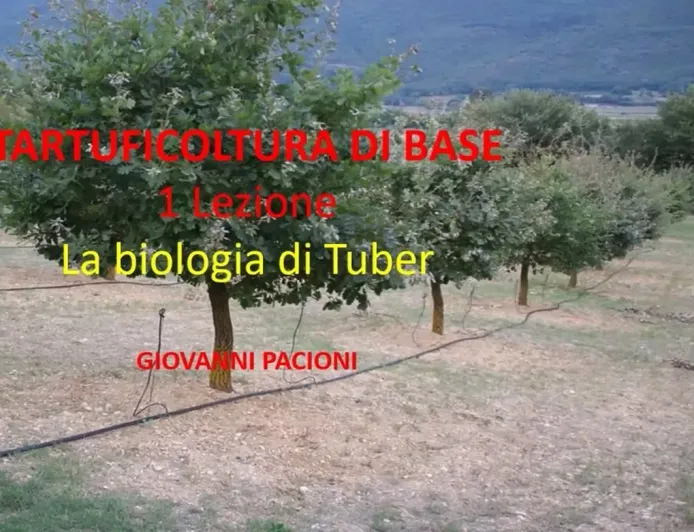 LA BIOLOGIA DI TUBER - TARTUFICOLTURA DI BASE