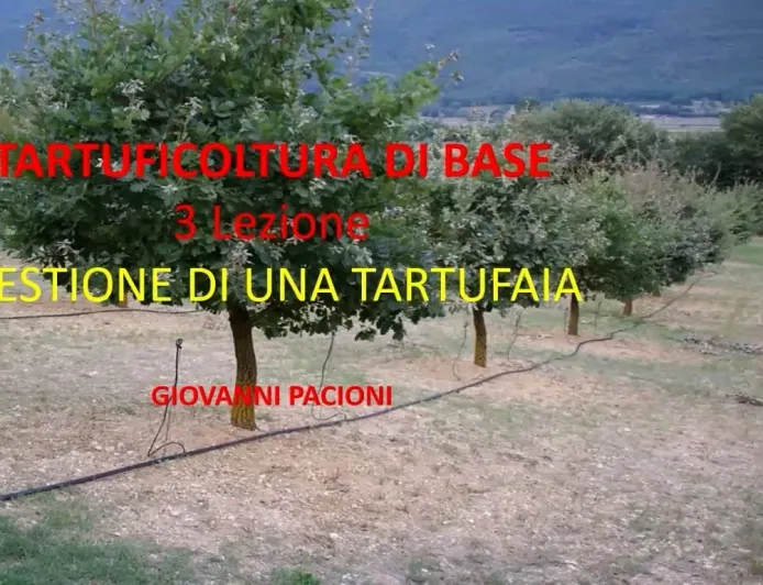 GESTIONE DI UNA TARTUFAIA - TARTUFICOLTURA DI BASE