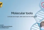 Molecular tools - Lo studio dei funghi, dalle specie al loro ambiente - Prof. Marco Leonardi