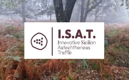 ISAT - Il Video del Progetto