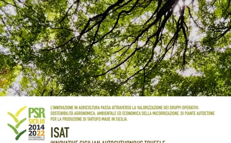 Evento conclusivo del progetto ISAT – L’innovazione tartufigena in mostra a Villa Magnisi