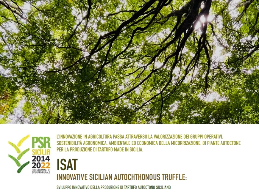 Evento conclusivo del progetto ISAT – L’innovazione tartufigena in mostra a Villa Magnisi
